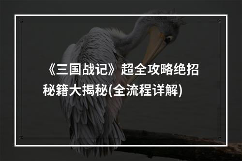 《三国战记》超全攻略绝招秘籍大揭秘(全流程详解)