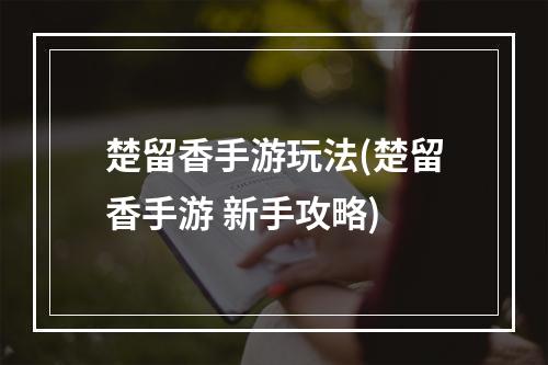 楚留香手游玩法(楚留香手游 新手攻略)