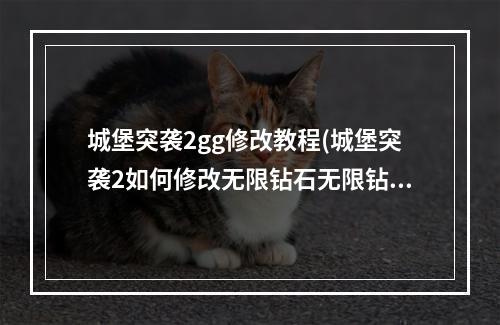 城堡突袭2gg修改教程(城堡突袭2如何修改无限钻石无限钻石修改技巧分享)