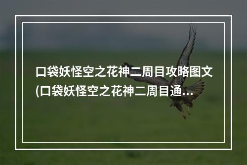 口袋妖怪空之花神二周目攻略图文(口袋妖怪空之花神二周目通关攻略 口袋妖怪空之花神二)