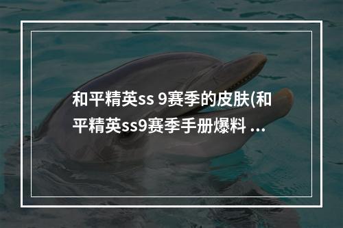 和平精英ss 9赛季的皮肤(和平精英ss9赛季手册爆料 SS9赛季手册都有哪些皮肤)