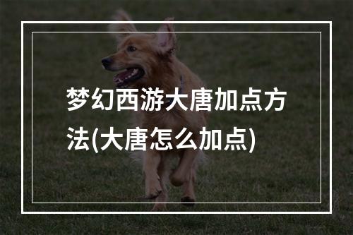 梦幻西游大唐加点方法(大唐怎么加点)