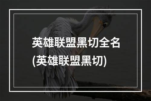 英雄联盟黑切全名(英雄联盟黑切)