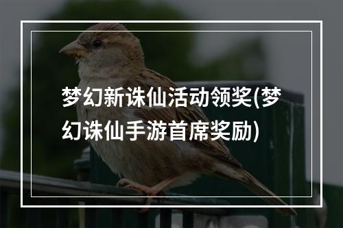 梦幻新诛仙活动领奖(梦幻诛仙手游首席奖励)