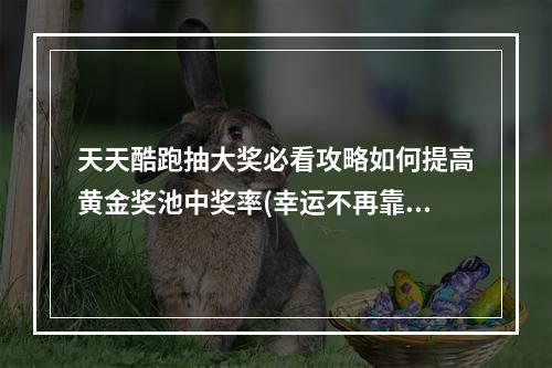 天天酷跑抽大奖必看攻略如何提高黄金奖池中奖率(幸运不再靠运气)( 天天酷跑温馨提示3个绝妙技巧教你轻松抽中黄金奖池大奖)