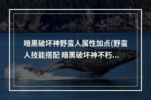 暗黑破坏神野蛮人属性加点(野蛮人技能搭配 暗黑破坏神不朽 )