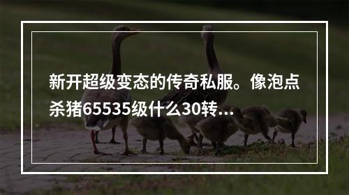 新开超级变态的传奇私服。像泡点杀猪65535级什么30转生。6倍经验宝刀什么的。(新开变态魔域私服)