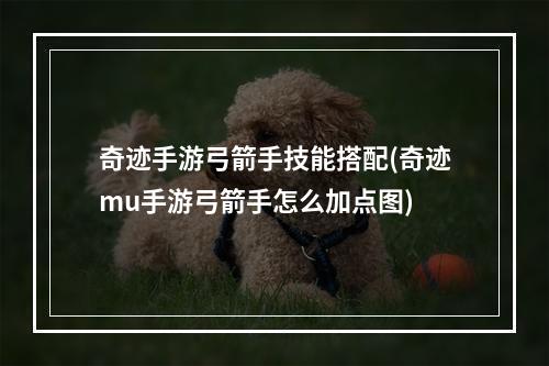 奇迹手游弓箭手技能搭配(奇迹mu手游弓箭手怎么加点图)