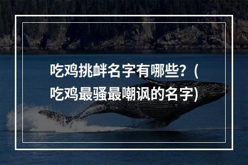 吃鸡挑衅名字有哪些？(吃鸡最骚最嘲讽的名字)