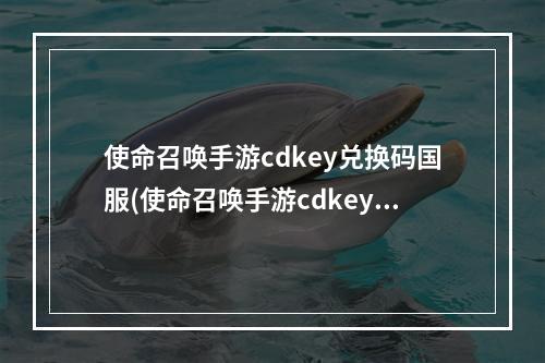 使命召唤手游cdkey兑换码国服(使命召唤手游cdkey兑换码大全一览 使命召唤手游  )