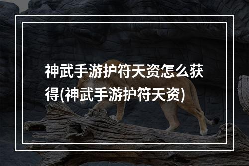 神武手游护符天资怎么获得(神武手游护符天资)