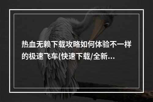 热血无赖下载攻略如何体验不一样的极速飞车(快速下载/全新版本)