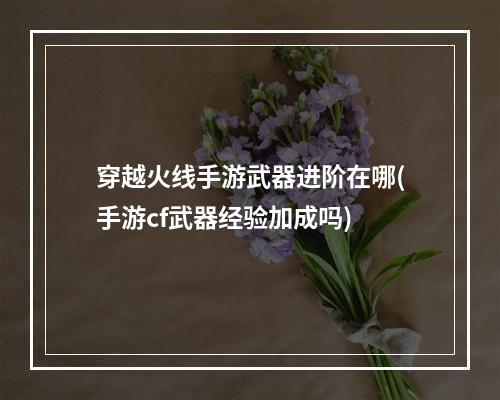 穿越火线手游武器进阶在哪(手游cf武器经验加成吗)