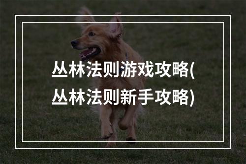 丛林法则游戏攻略(丛林法则新手攻略)