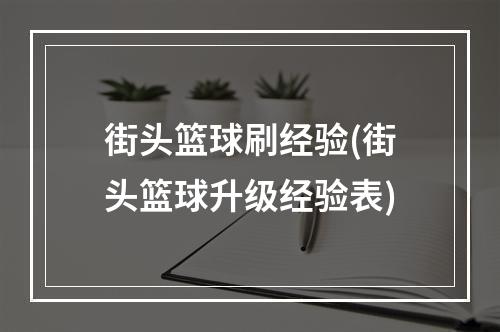 街头篮球刷经验(街头篮球升级经验表)