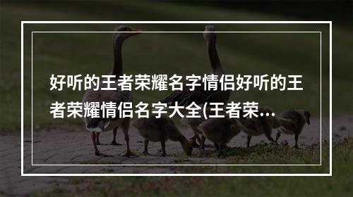 好听的王者荣耀名字情侣好听的王者荣耀情侣名字大全(王者荣耀情侣名字一对)