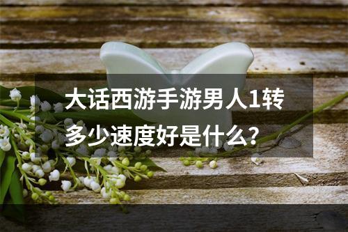 大话西游手游男人1转多少速度好是什么？