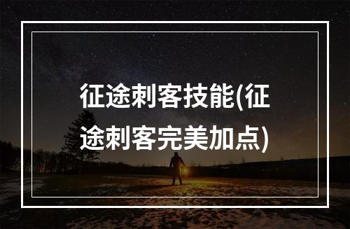 征途刺客技能(征途刺客完美加点)