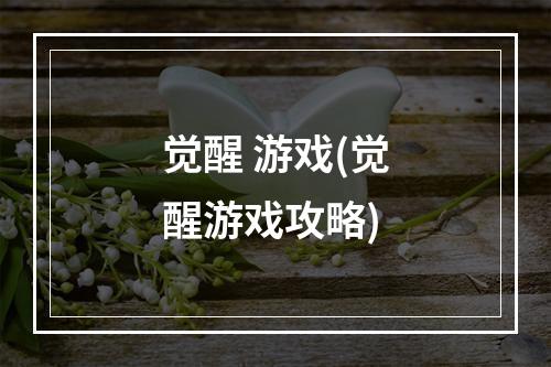 觉醒 游戏(觉醒游戏攻略)