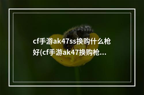 cf手游ak47ss换购什么枪好(cf手游ak47换购枪王)