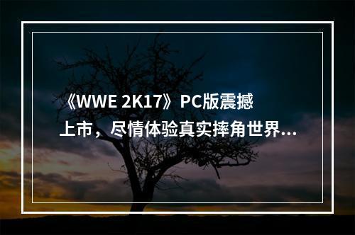 《WWE 2K17》PC版震撼上市，尽情体验真实摔角世界吧！(打造你的摔角王朝)