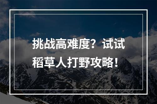 挑战高难度？试试稻草人打野攻略！