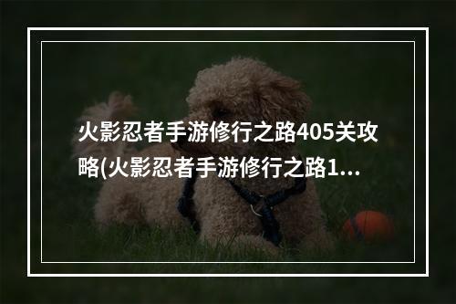 火影忍者手游修行之路405关攻略(火影忍者手游修行之路114)