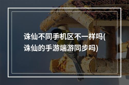 诛仙不同手机区不一样吗(诛仙的手游端游同步吗)