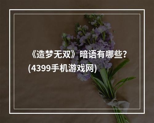 《造梦无双》暗语有哪些？(4399手机游戏网)