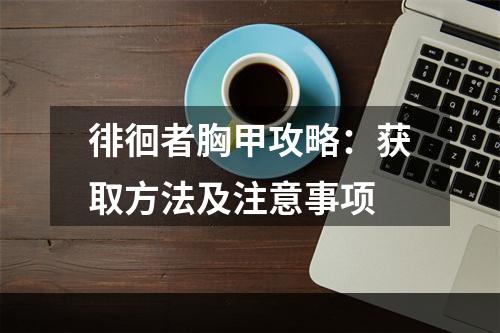 徘徊者胸甲攻略：获取方法及注意事项