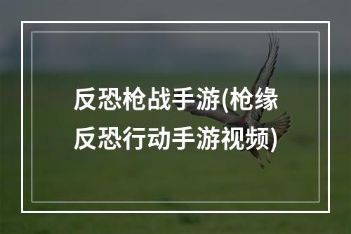 反恐枪战手游(枪缘反恐行动手游视频)