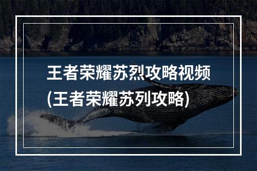 王者荣耀苏烈攻略视频(王者荣耀苏列攻略)