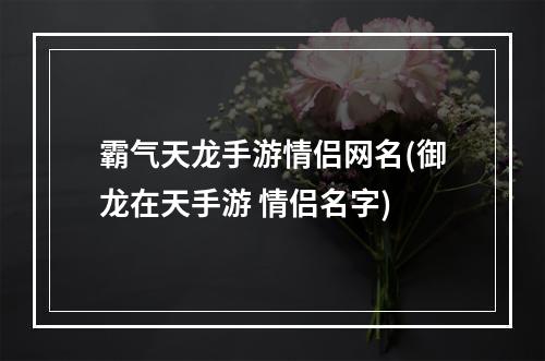 霸气天龙手游情侣网名(御龙在天手游 情侣名字)