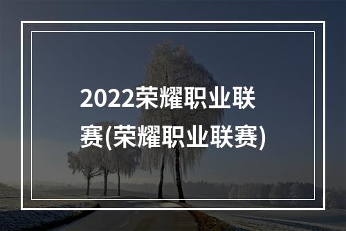 2022荣耀职业联赛(荣耀职业联赛)