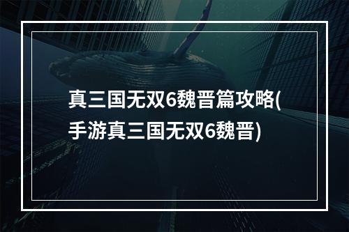 真三国无双6魏晋篇攻略(手游真三国无双6魏晋)