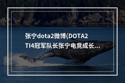 张宁dota2微博(DOTA2TI4冠军队长张宁电竞成长之路)