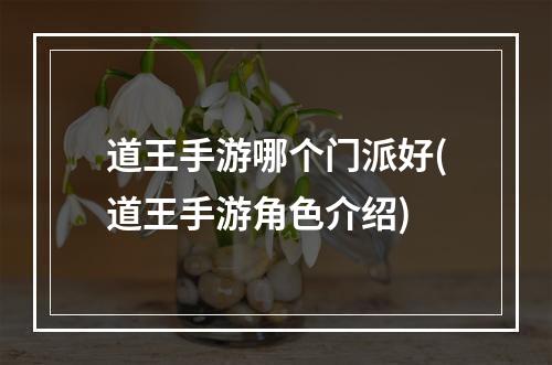 道王手游哪个门派好(道王手游角色介绍)