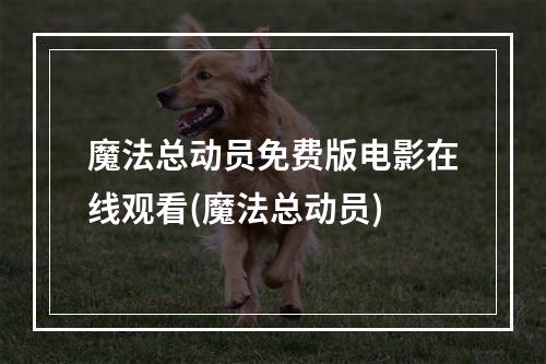 魔法总动员免费版电影在线观看(魔法总动员)