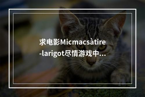 求电影Micmacsàtire-larigot尽情游戏中文字幕~~~(子弹头大复仇)