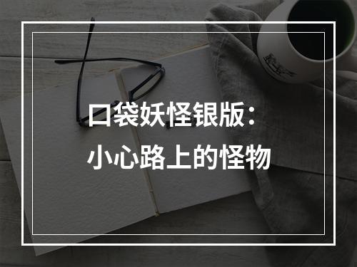 口袋妖怪银版：小心路上的怪物