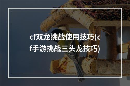 cf双龙挑战使用技巧(cf手游挑战三头龙技巧)