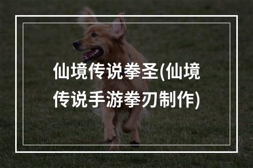 仙境传说拳圣(仙境传说手游拳刃制作)