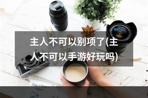 主人不可以别项了(主人不可以手游好玩吗)