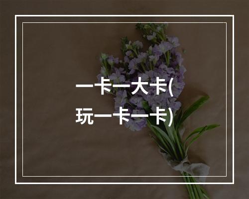 一卡一大卡(玩一卡一卡)