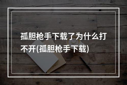 孤胆枪手下载了为什么打不开(孤胆枪手下载)