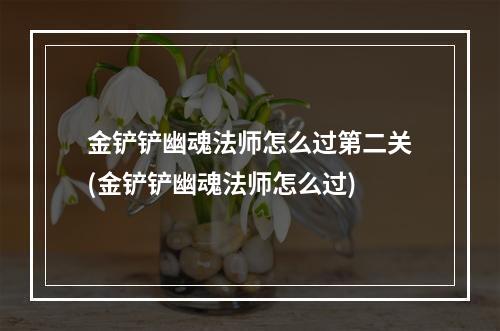 金铲铲幽魂法师怎么过第二关(金铲铲幽魂法师怎么过)