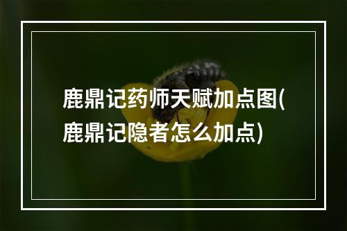 鹿鼎记药师天赋加点图(鹿鼎记隐者怎么加点)