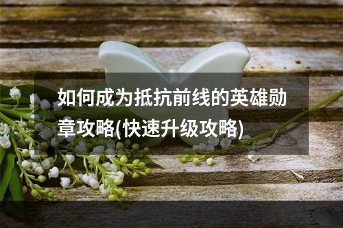 如何成为抵抗前线的英雄勋章攻略(快速升级攻略)