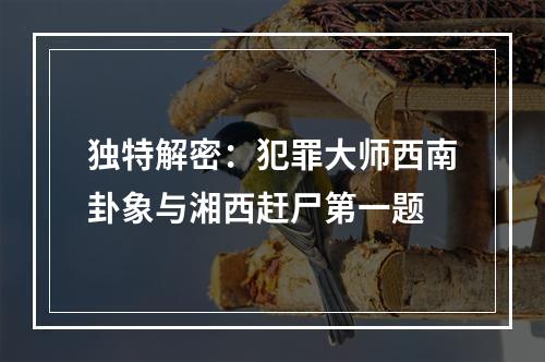 独特解密：犯罪大师西南卦象与湘西赶尸第一题