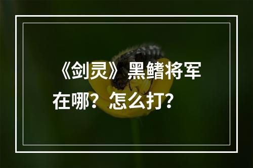 《剑灵》黑鳍将军在哪？怎么打？